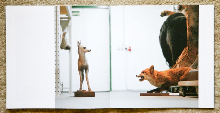 Klaus_Pichler-Skeletons_in_the_Closet_5