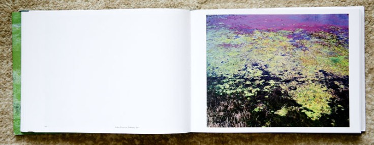 Andreas_Seibert-The_Colors_of_Growth-6