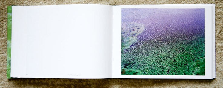 Andreas_Seibert-The_Colors_of_Growth-8