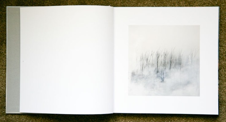 Jane_Fulton_Alt-The_Burn_1