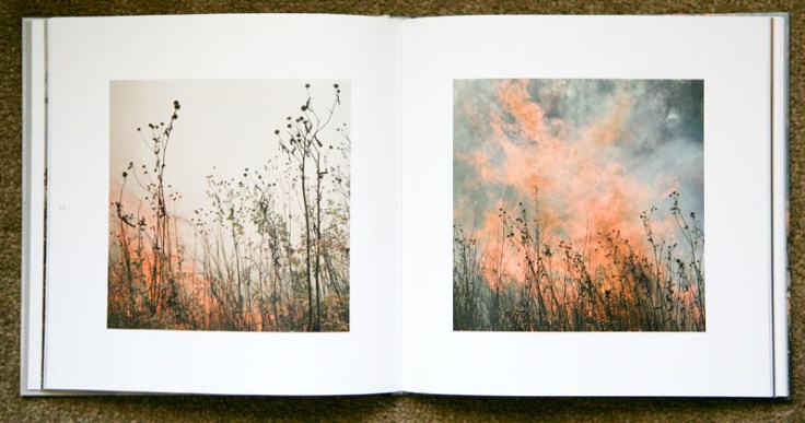 Jane_Fulton_Alt-The_Burn_2