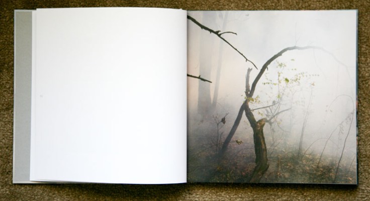 Jane_Fulton_Alt-The_Burn_4