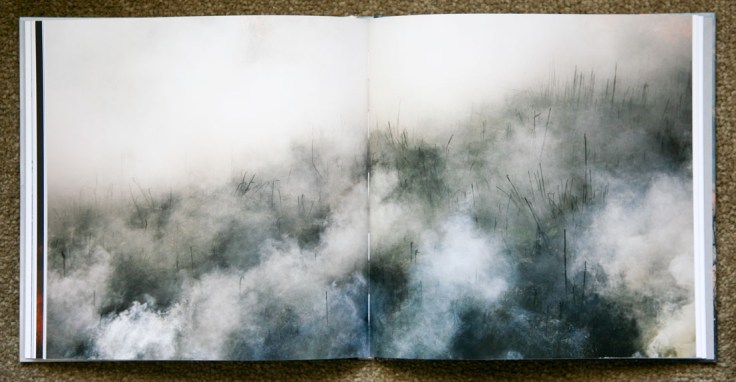 Jane_Fulton_Alt-The_Burn_5