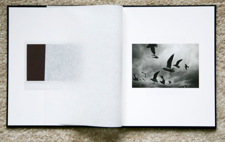 Mateusz_Sarello-Swell_interior_block_transition_3