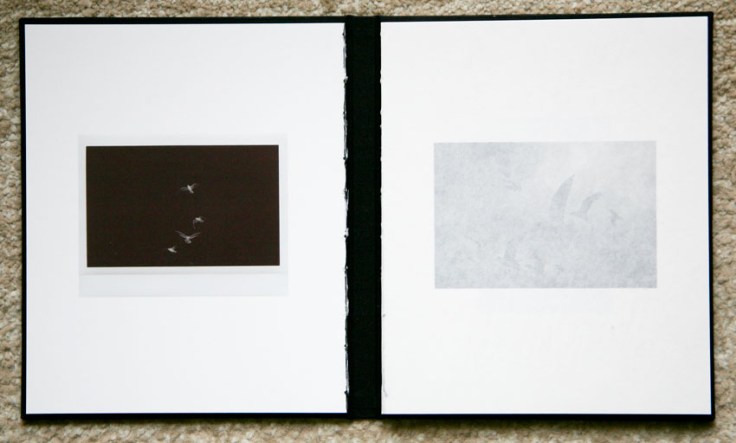 Mateusz_Sarello-Swell_interior_blocks