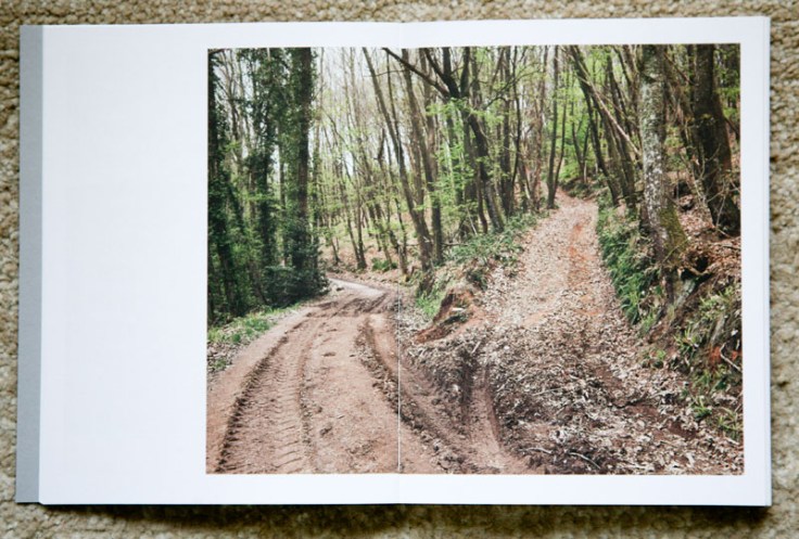 Paul_Gaffney-We_Make_the_Path_by_Walking_1