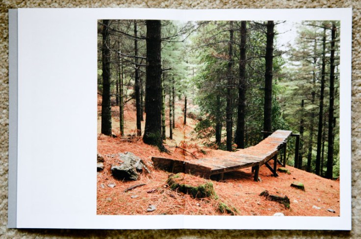 Paul_Gaffney-We_Make_the_Path_by_Walking_3