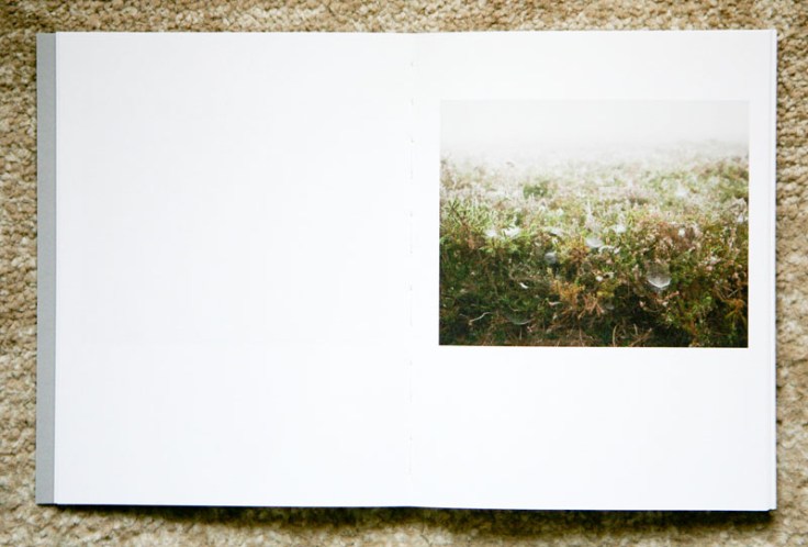 Paul_Gaffney-We_Make_the_Path_by_Walking_4