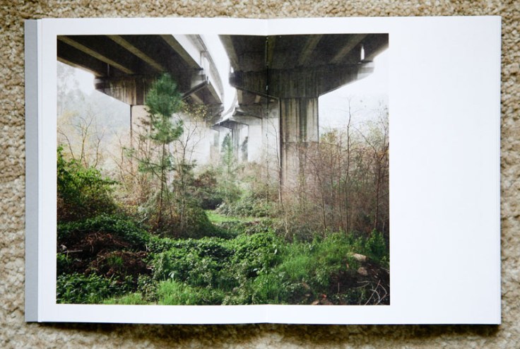 Paul_Gaffney-We_Make_the_Path_by_Walking_5