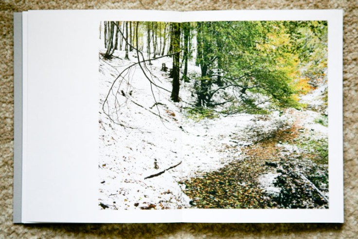 Paul_Gaffney-We_Make_the_Path_by_Walking_6