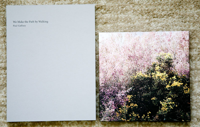 Paul_Gaffney-We_Make_the_Path_by_Walking_cover