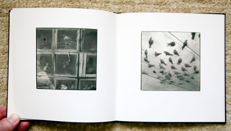 Hiroshi_Watanabe-Veiled_Observations_and_Reflections_4