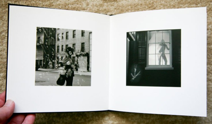 Hiroshi_Watanabe-Veiled_Observations_and_Reflections_5