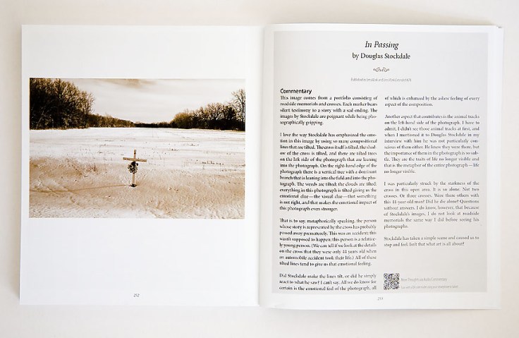 Looking_at_Images_Douglas_Stockdale-In_Passing