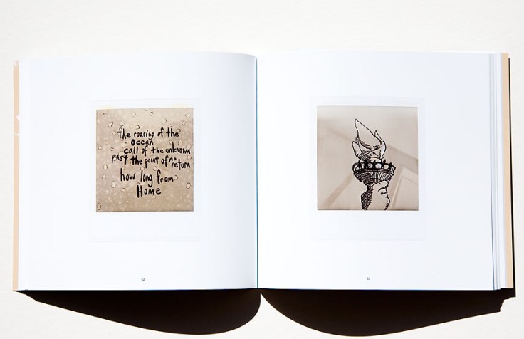 Amit_Desai-America_Sutra_6