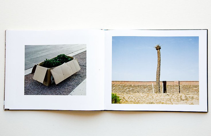 Andrew_Phelps-Haboob_5