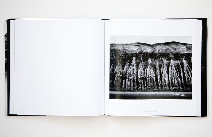 Wynn_Bullock-Revelations_3