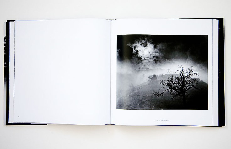 Wynn_Bullock-Revelations_5