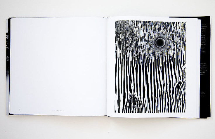 Wynn_Bullock-Revelations_7