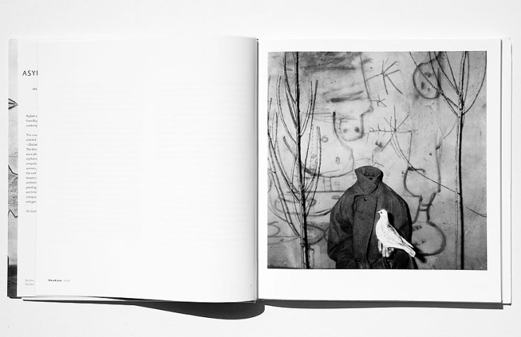 Roger_Ballen-Asylum_Of_The_Birds_1