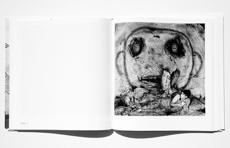 Roger_Ballen-Asylum_Of_The_Birds_2