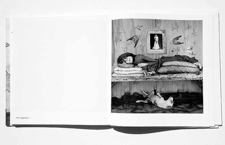 Roger_Ballen-Asylum_Of_The_Birds_3