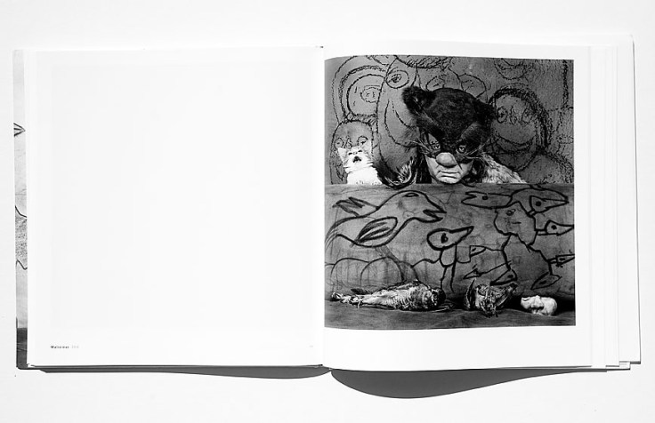 Roger_Ballen-Asylum_Of_The_Birds_4