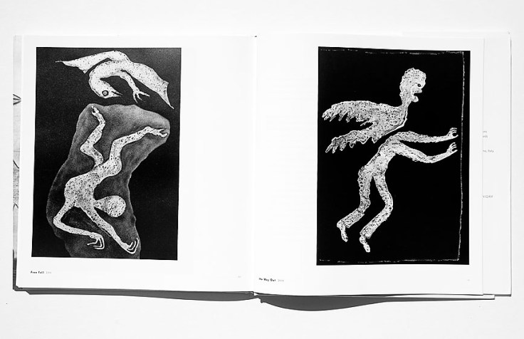 Roger_Ballen-Asylum_Of_The_Birds_6