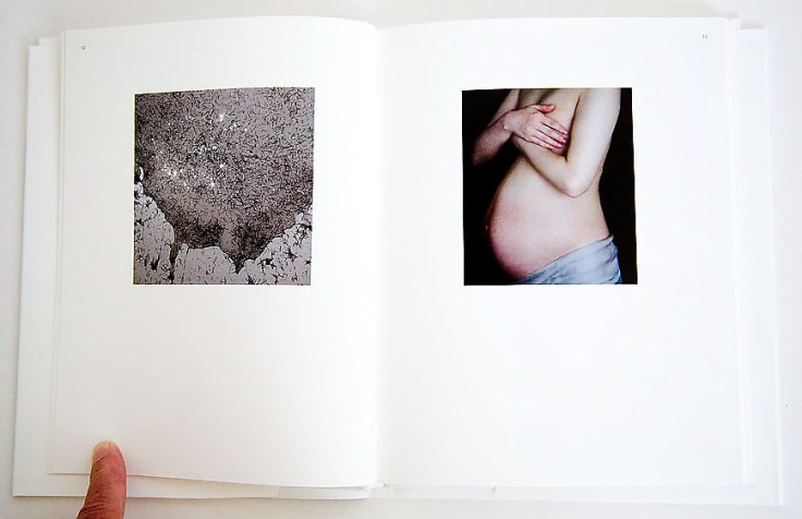 Hiroshi_Watanabe-The_Day_the Dam_Collapses_4