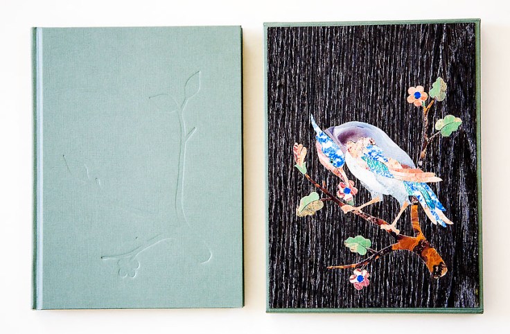 Julia_Borissova-Running_to_the_Edge_book_cover_n_slip_cover