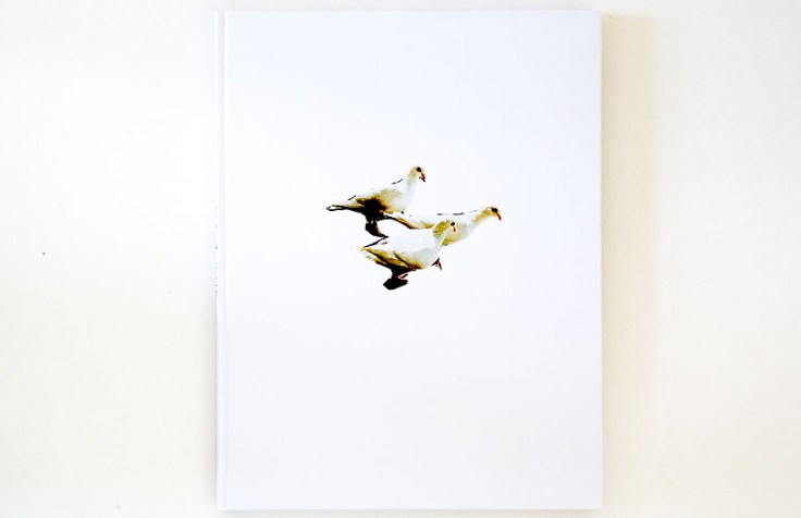 Carolyn_Drake–Wild_Pigeon_cover