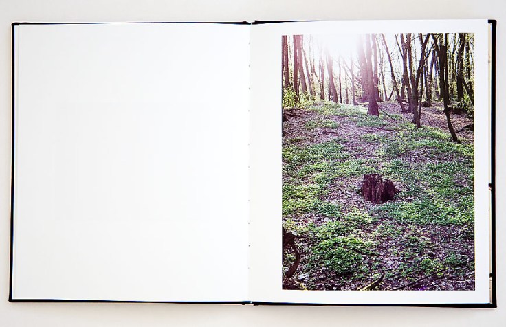 Matej_Sitar-Morning_Sun_2