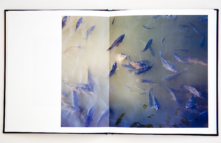 Matej_Sitar-Morning_Sun_3