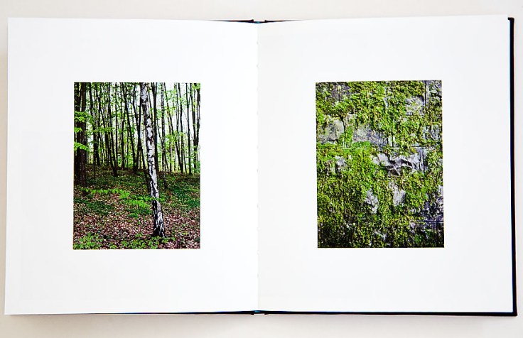 Matej_Sitar-Morning_Sun_6