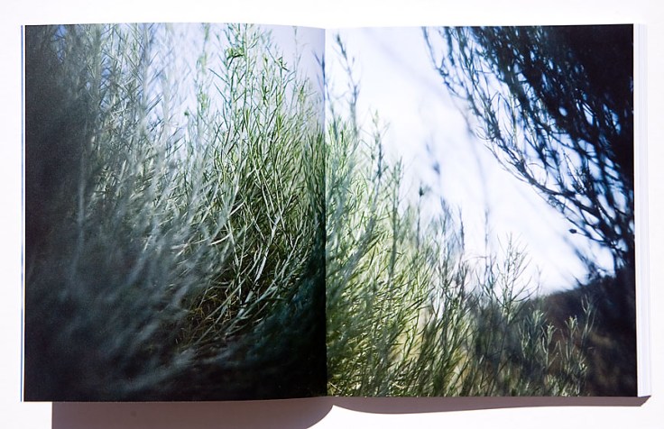 Andreas_Oekter-Kast- Looking_for_Wonderland_3