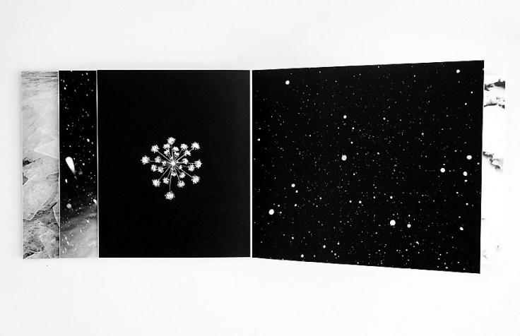 Paula_McCartney-A_Field_Guide_to_Snow_and_Ice_1