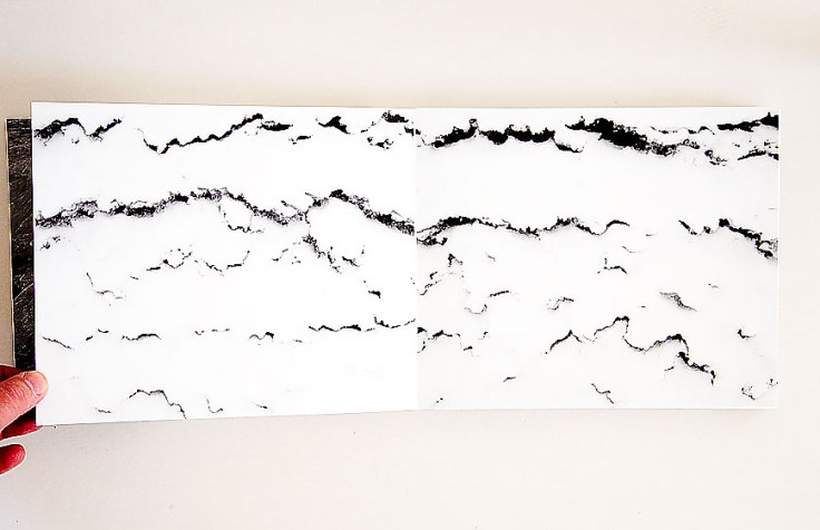 Paula_McCartney-A_Field_Guide_to_Snow_and_Ice_4