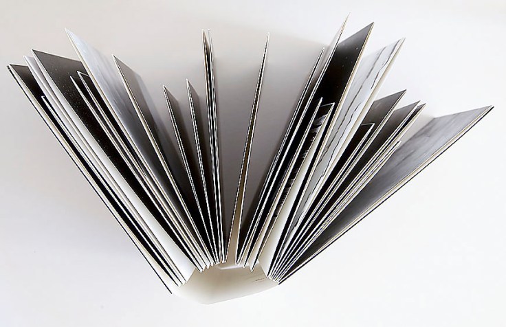 Paula_McCartney-A_Field_Guide_to_Snow_and_Ice_top_view