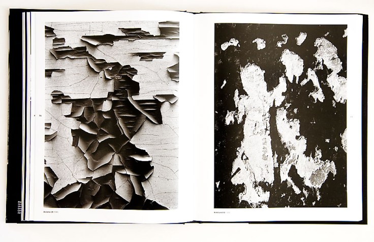 Aaron_Siskind-Another_Photographic_Reality_5