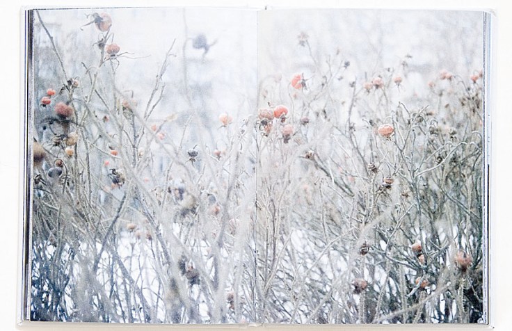 Julia_Borissova-address_4