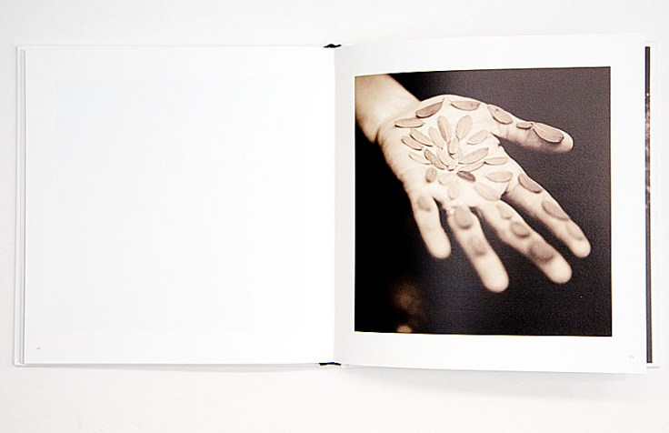 Lori_Vrba-The_Moth_Wing_Diaries_2