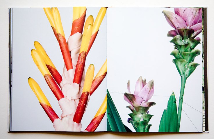 Pawel_Bownik-Disassembly_1