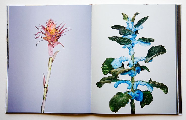 Pawel_Bownik-Disassembly_3