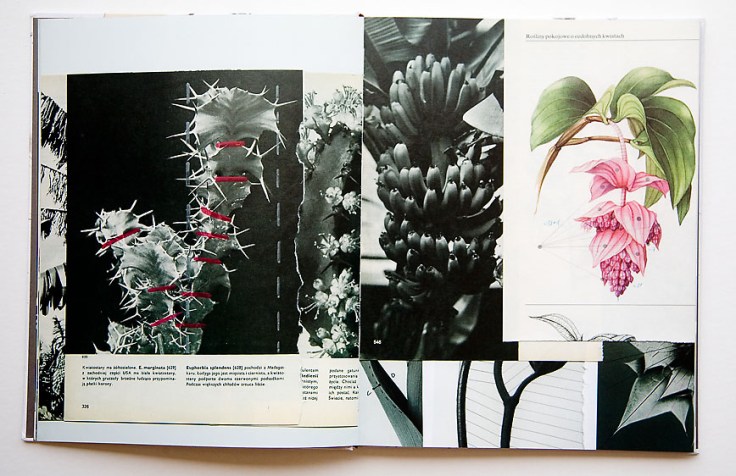 Pawel_Bownik-Disassembly_4