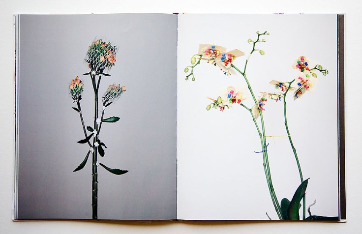 Pawel_Bownik-Disassembly_5