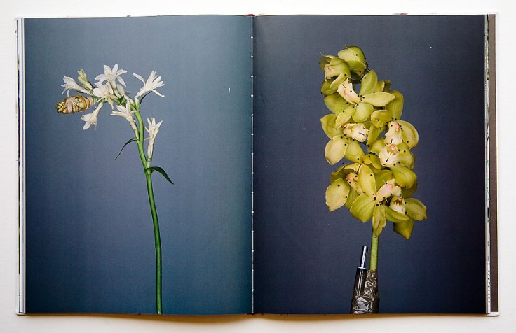 Pawel_Bownik-Disassembly_6