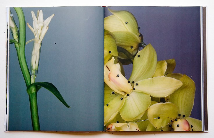 Pawel_Bownik-Disassembly_7