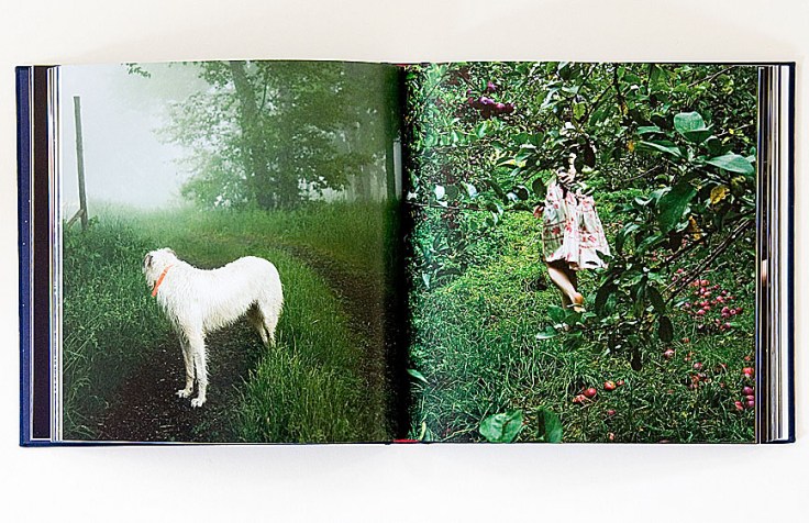 Cig_Harvey-Gardening_at_Night_1