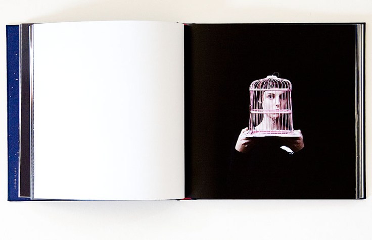 Cig_Harvey-Gardening_at_Night_6