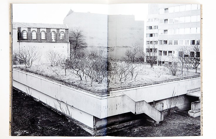 Diane_Vincent-OBEN_8